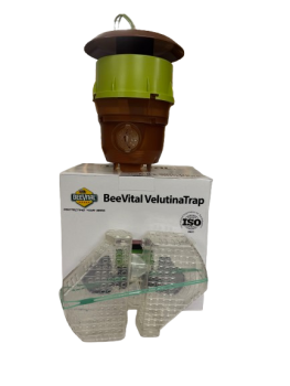 BeeVital Velutina Falle