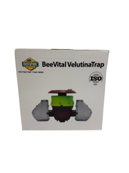 BeeVital Velutina Falle